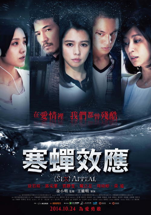 石溪大学经济学文凭证书